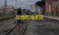 战地吃鸡求生
